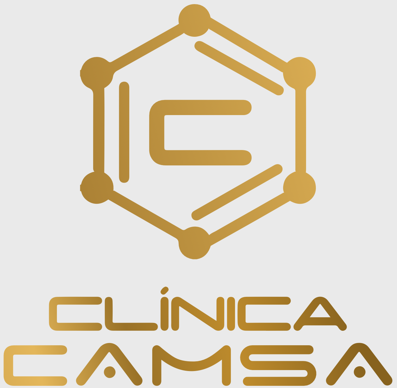 CLÍNICA CAMSA